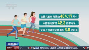 乒乓球台端线边线中线
